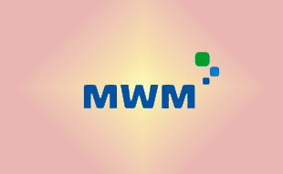 ✓ MWM 0403 4533 Запчасть MWM 